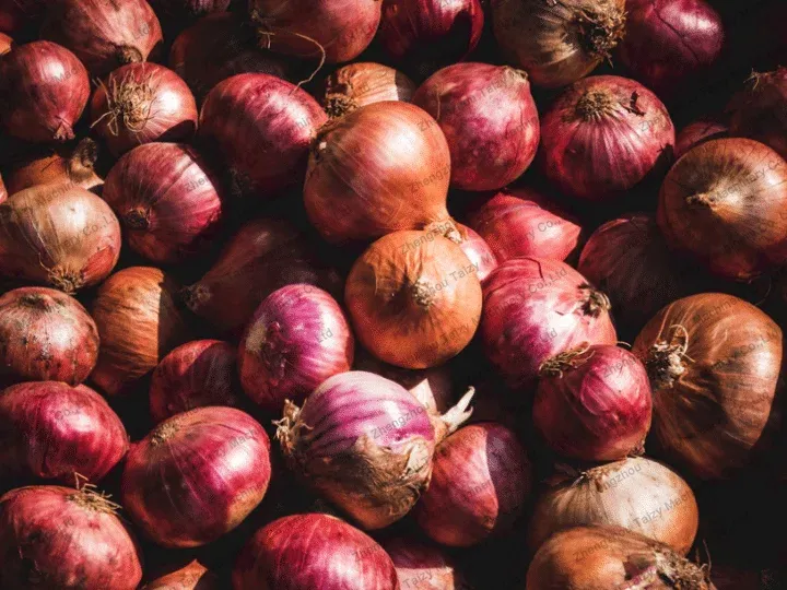 Aplicación de la máquina cortadora de raíces de cebolla