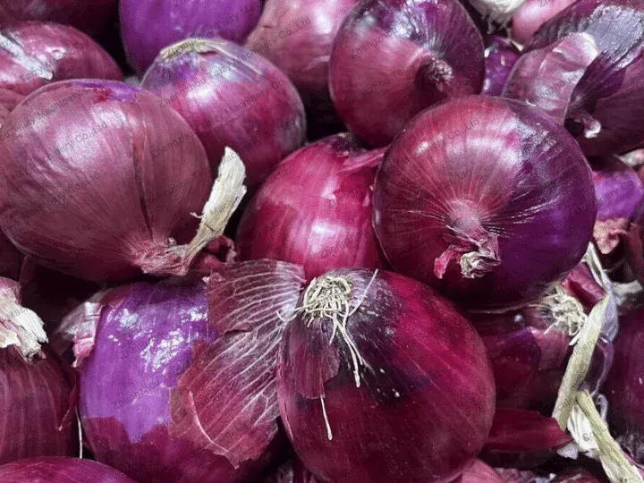 Aplicación del cortador de raíces de cebolla