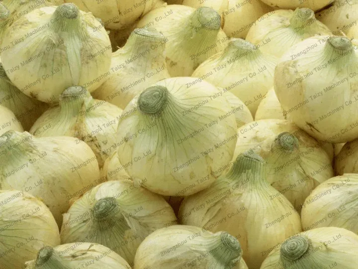 Aplicación de la máquina de corte de raíces y tallos de cebolla