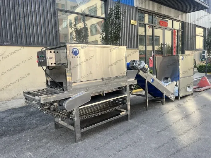Chain onion peeling machine