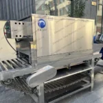 onion peeling equipment