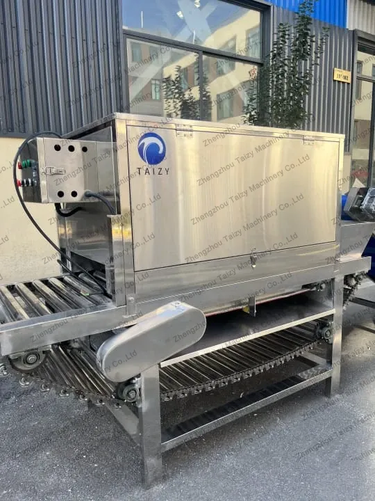 Onion peeling equipment