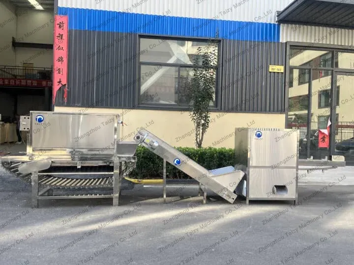 Línea de pelado de cebollas