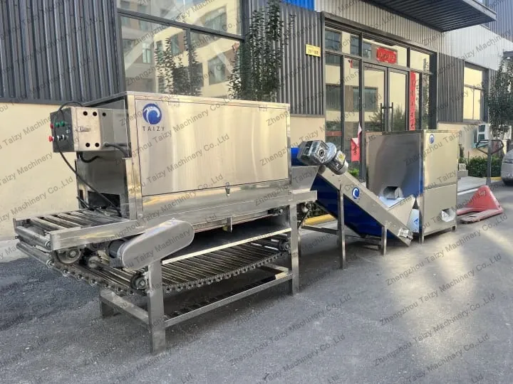 Onion skin peeling machine