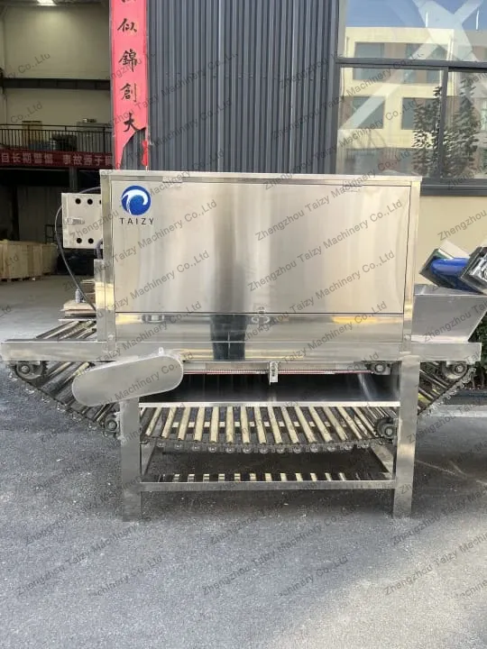 Onion skin removing machine