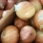 Onions before processing