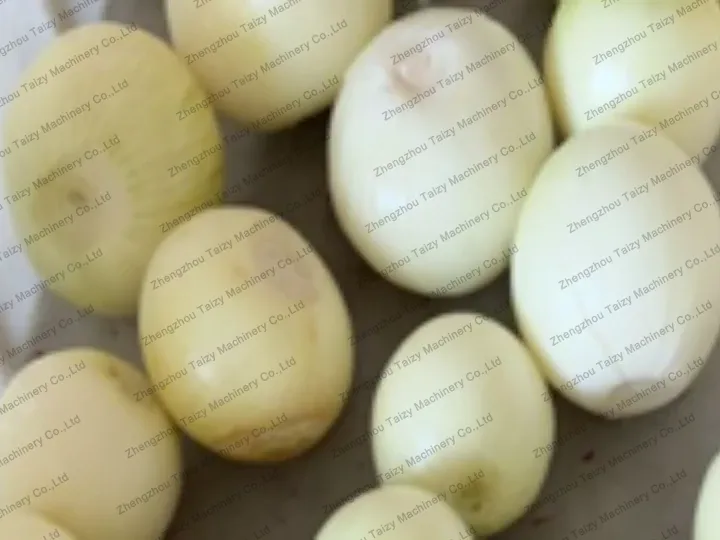 finished product of onion skin peeler