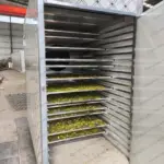 onion dryer machine