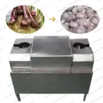 garlic root and stem cutter