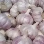 processed garlic
