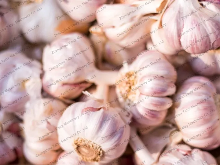 Garlic Clove Separator 4 Garlic bulbs