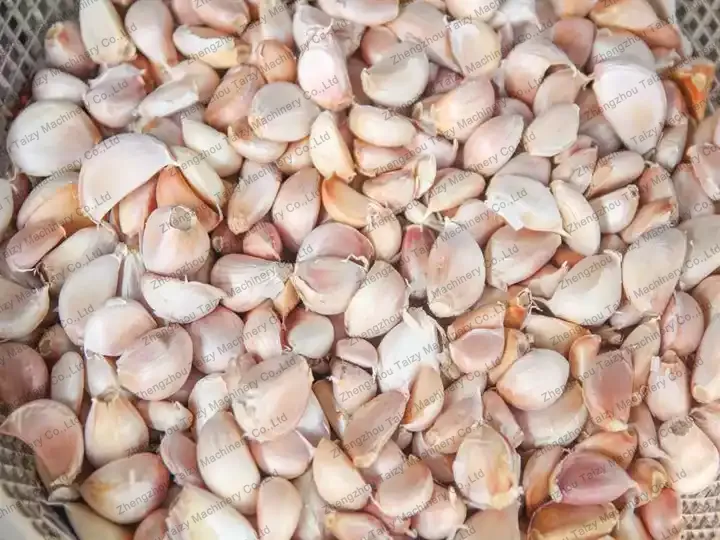 Garlic Clove Separator 6 Garlic cloves