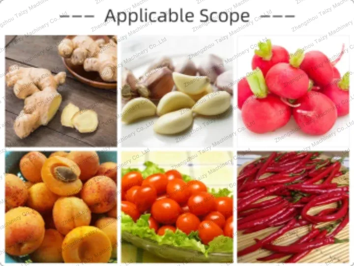 application of garlic air drying machine