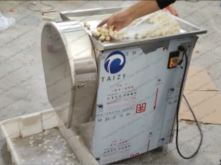 garlic cutter machine