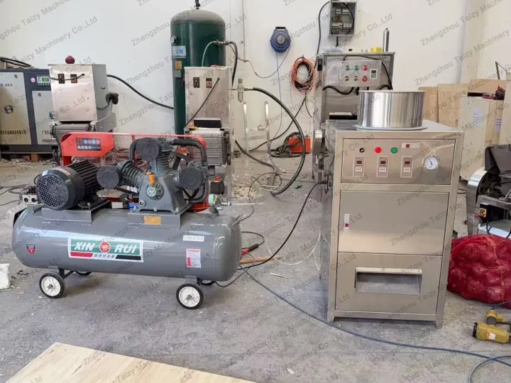 Taizy garlic skin peeler machine​ successfully delivered to France