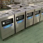 single-chamber vacuum packer for garlic