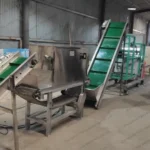commercial garlic peeling line