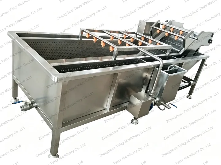 Garlic Peeling Production Line 6 Garlic clove washing machine