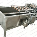 garlic clove washing machine