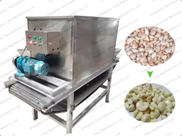 Garlic Peeling Production Line 4 Machine de décollement de peau d'ail à chaîne