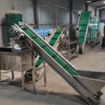 garlic peeling production line