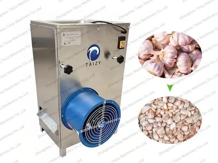 Garlic Peeling Production Line 3 Garlic separator machine