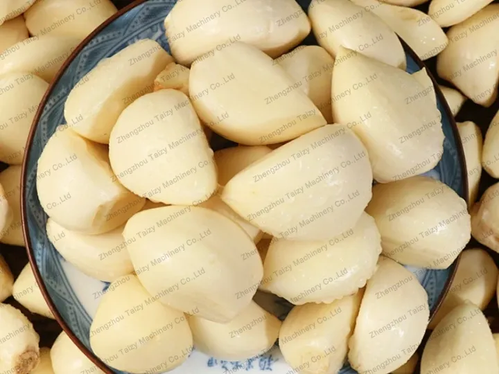 How Does A Garlic Peeling Line Work? 2 Peeled garlic processed by the garlic peeling line